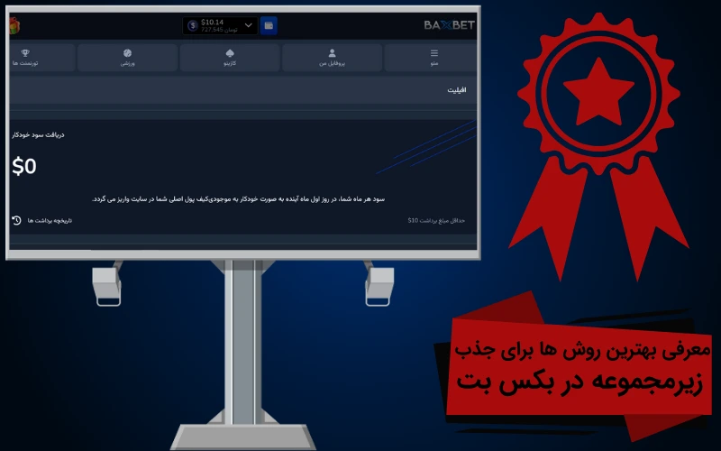 معرفی بهترین روشها برای جذب زیرمجموعه در بکس بت